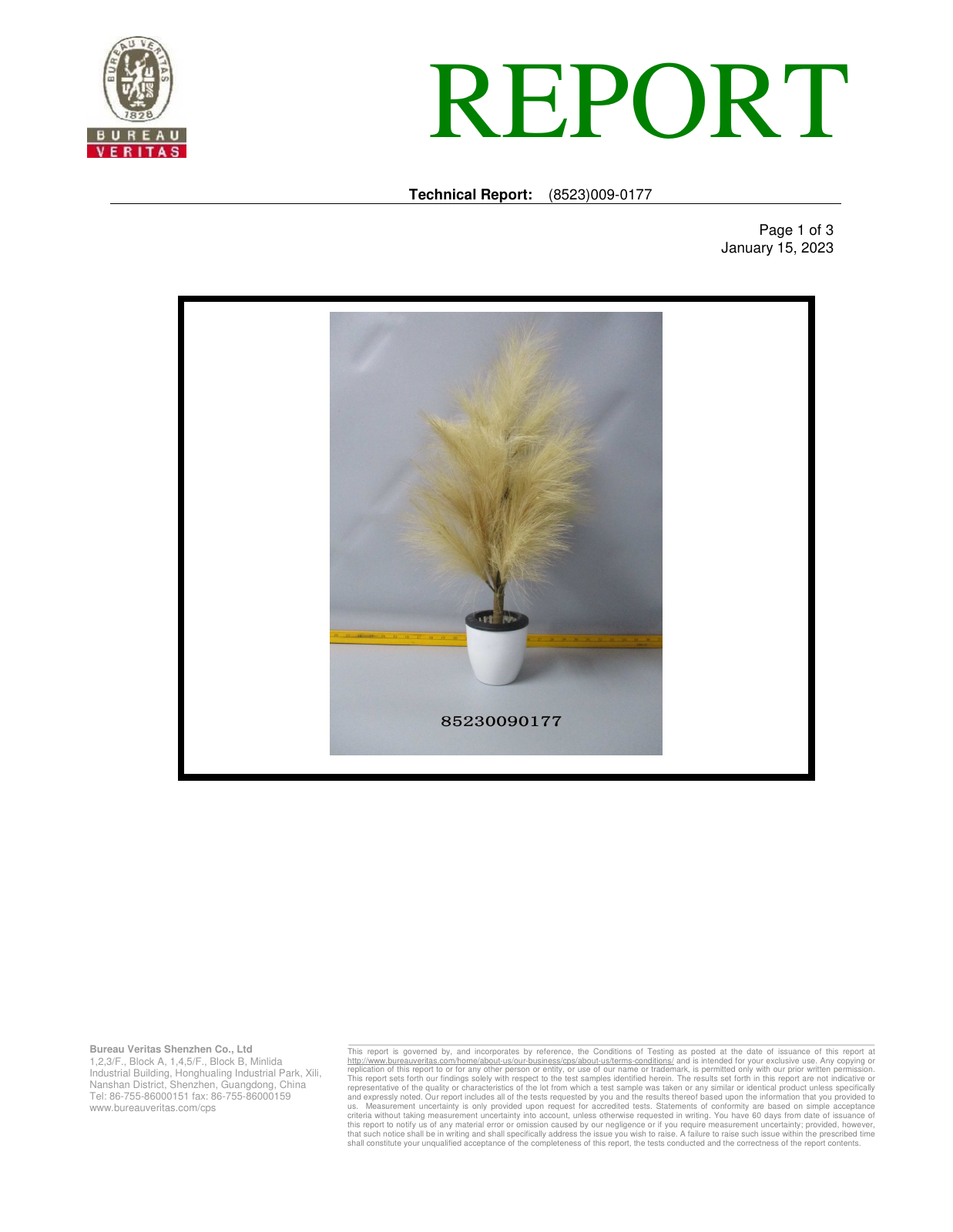 BV Test Report